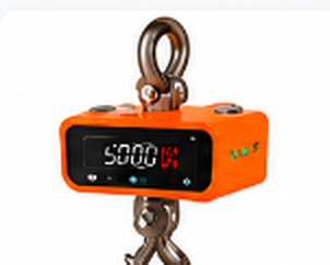 Crane Scales