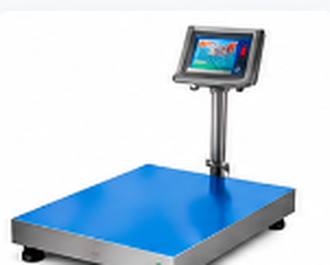 Platform Scales
